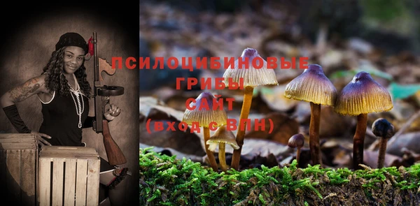 MDMA Верхний Тагил