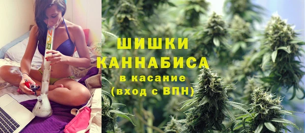 ПСИЛОЦИБИНОВЫЕ ГРИБЫ Снежинск