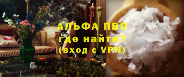 ГАЛЛЮЦИНОГЕННЫЕ ГРИБЫ Верея